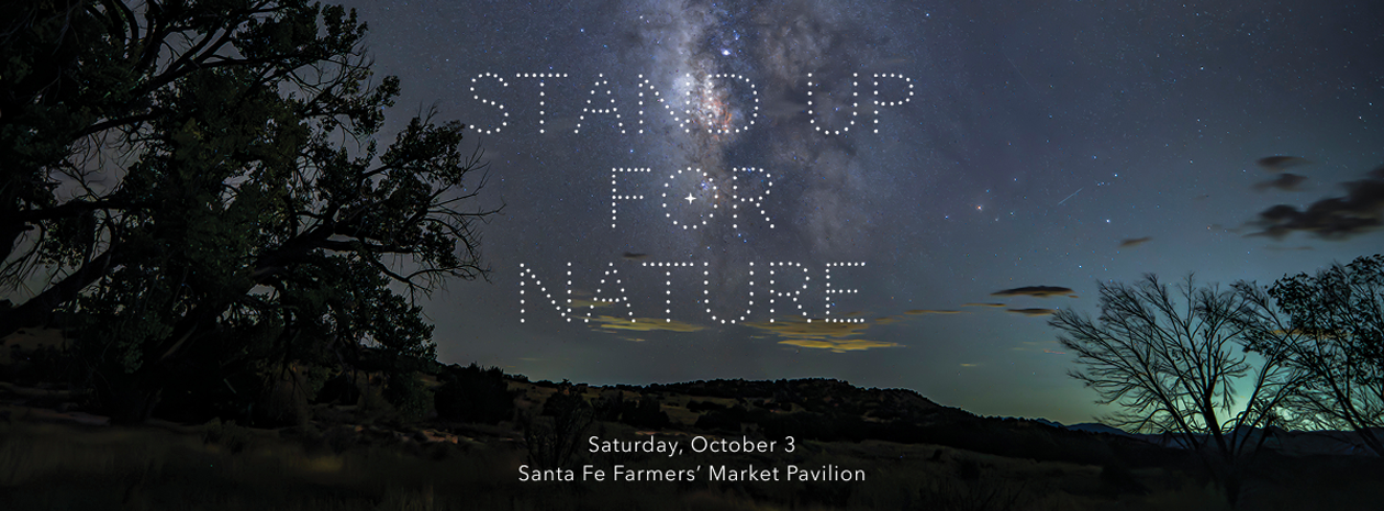 Stand Up for Nature: Starry Night